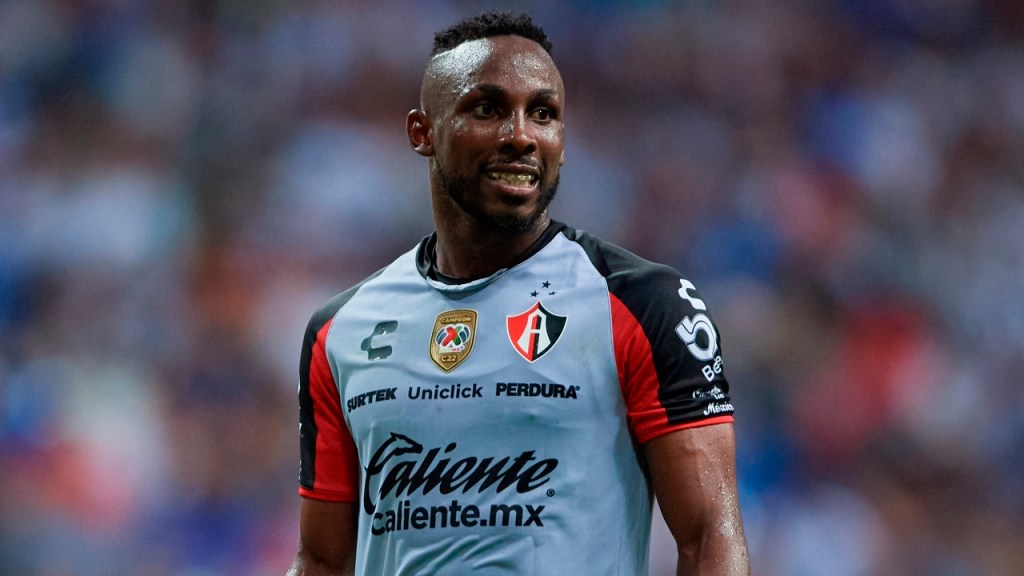 Nuevo refuerzo llega al&nbsp;nido